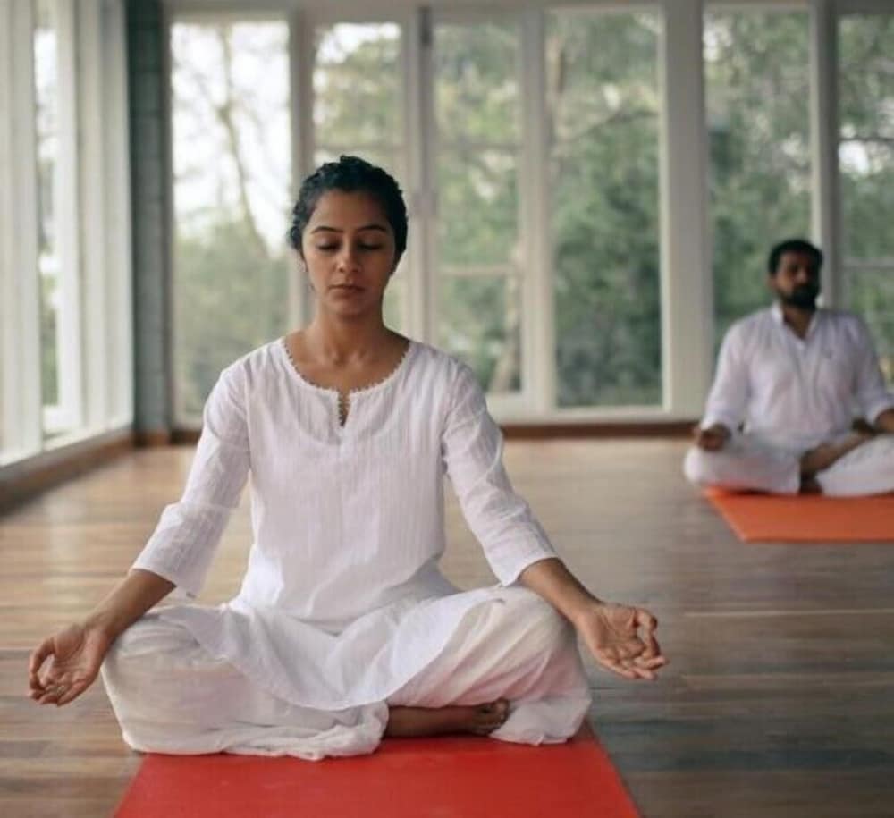 SpiceTree Rajakumari