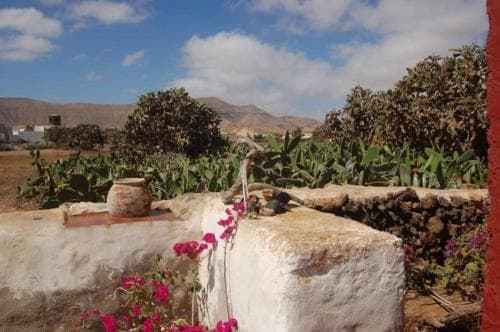 A serene rural landscape features a rustic white stone wall adorned with vibrant pink flowers, set against a backdrop of lush greenery and distant hills under a partly cloudy sky, ideal for tranquil countryside retreats.