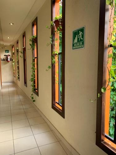 A serene hotel corridor with tiled floors, lush greenery hanging through windows, and emergency exit signs creates a tranquil atmosphere ideal for travelers seeking relaxation.
