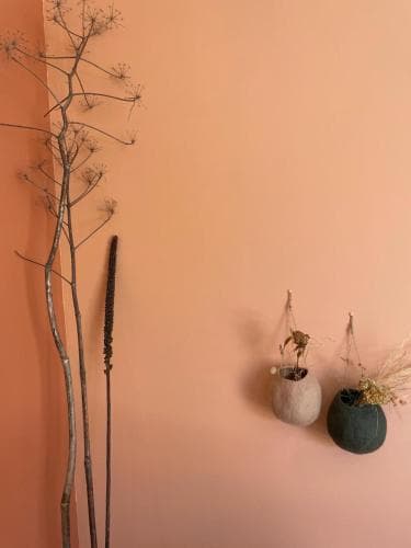 Les Petites Maisons