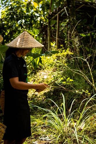 Bali Jungle Camping by Amerta Experience