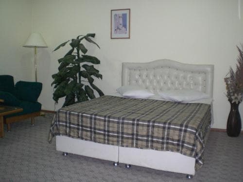 Hotel Davidi