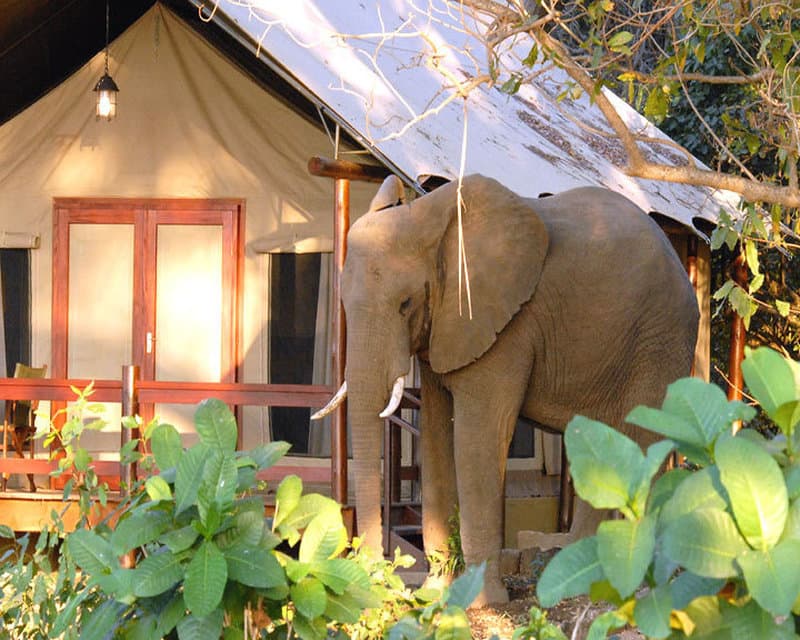 Lugenda Wilderness Camp