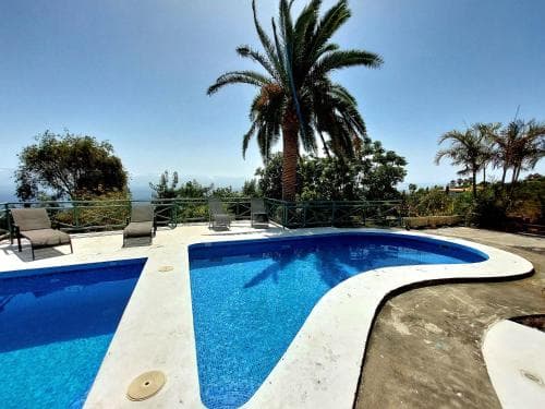 A serene tropical retreat features a curved pool with lounge chairs under palm trees, offering a relaxing vacation spot with ocean views.