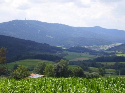 Edelweiß Gasthof