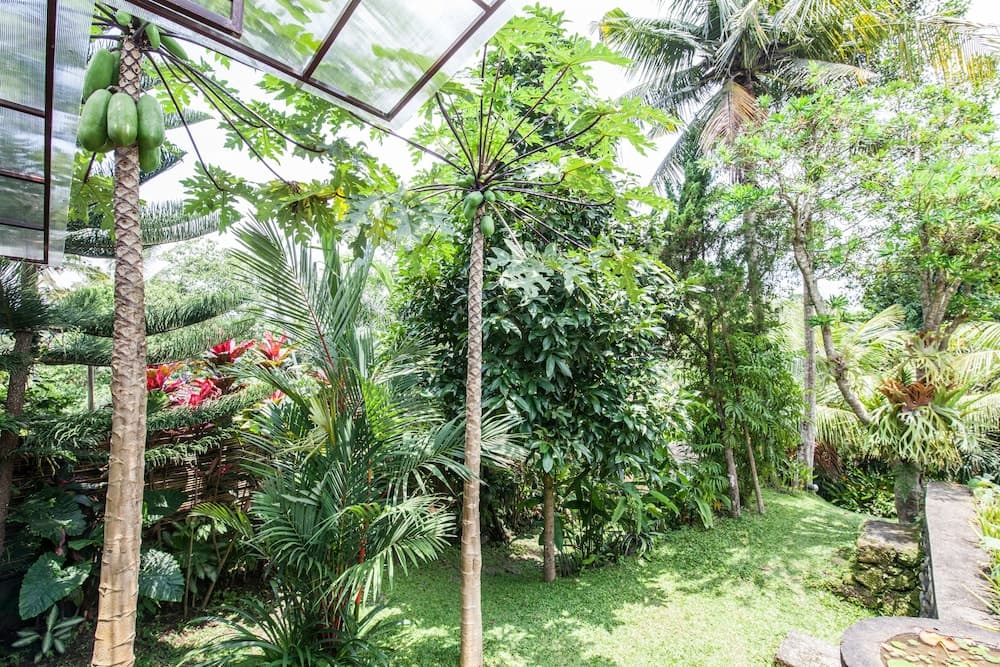 Villa Cinta