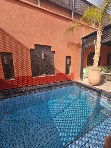 Riad Alegria