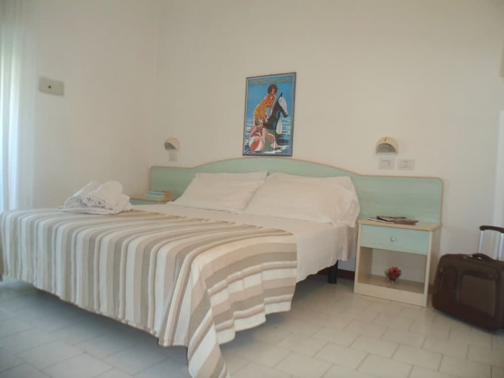 Hotel New Zanarini