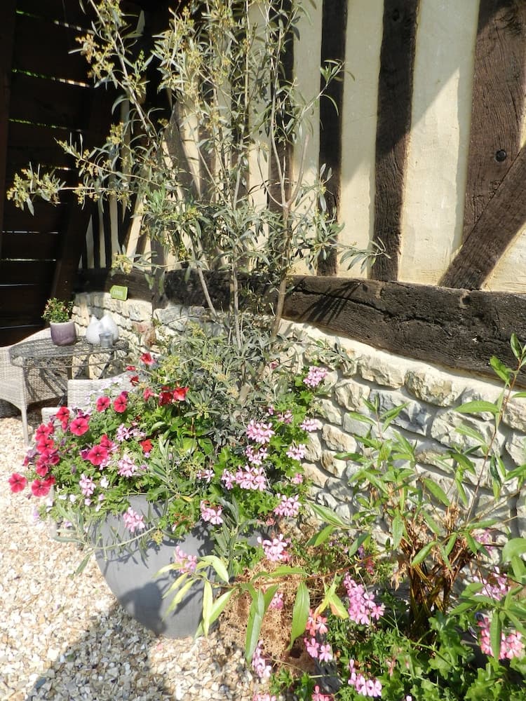 Le Pressoir