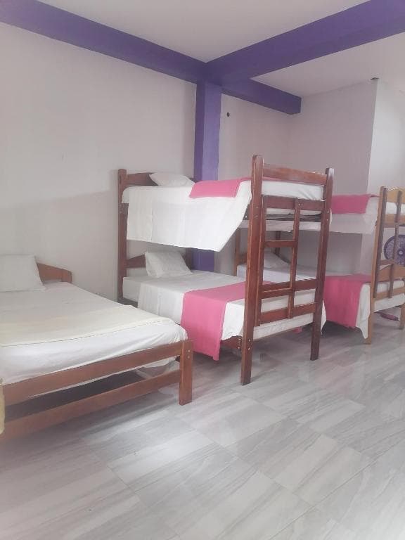 Ayahuasca Hostel