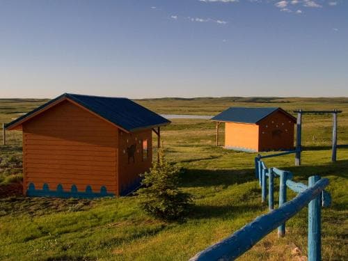 Lodgepole Gallery