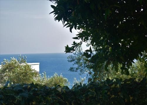 Guesthouse HHL - Liman ll