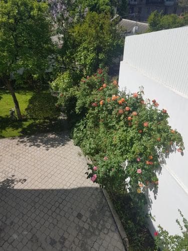 Hotel Badagi