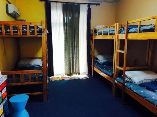 Meow Hostel