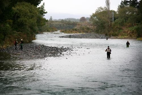 Turangi Trout Lodge