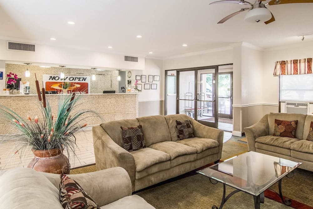 A cozy hotel lobby features plush beige sofas, decorative pillows, a glass coffee table, and a vibrant potted plant, creating a welcoming atmosphere ideal for travelers seeking relaxation and comfort.