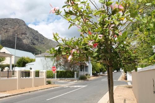 A serene suburban street lined with white houses and lush greenery, framed by a towering mountain backdrop, evokes a peaceful residential atmosphere ideal for travelers seeking tranquility and natural beauty.