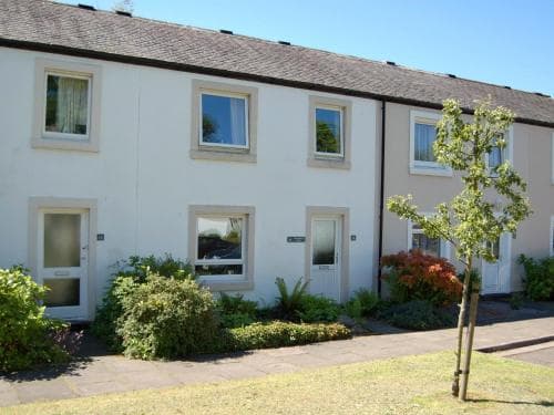 A serene residential area features a row of white terraced houses with lush greenery and blooming shrubs, ideal for travelers seeking a peaceful suburban stay.