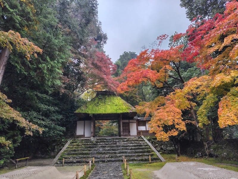 A serene autumn scene at Hōnenin Temple in Kyoto, featuring a moss-covered gate flanked by vibrant red and orange maple trees, inviting travelers to explore its tranquil beauty.