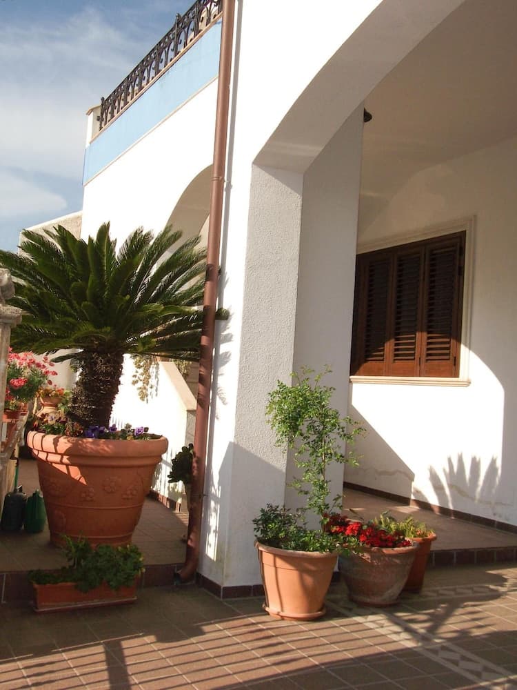 B&B Minerva