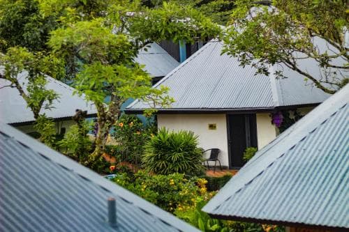 A serene tropical retreat features lush greenery surrounding quaint cottages with metal roofs, ideal for a peaceful vacation escape.