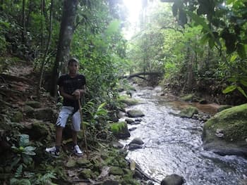 Pousada Arboretum