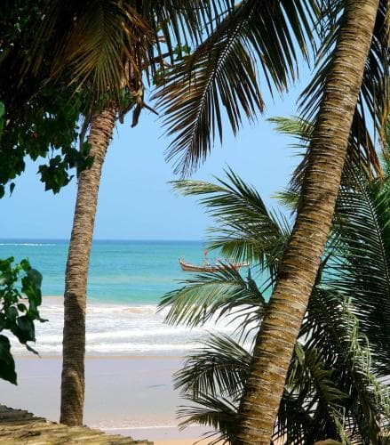 Busua Inn