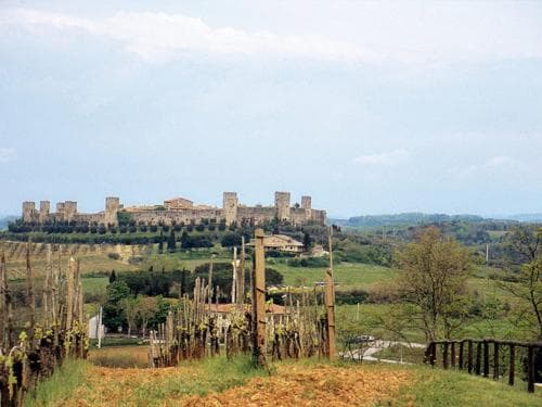 Fattoria Petraglia