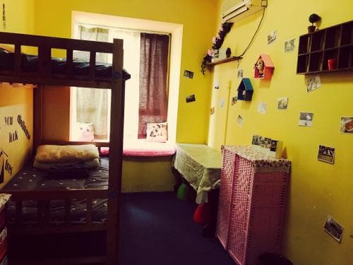 Meow Hostel