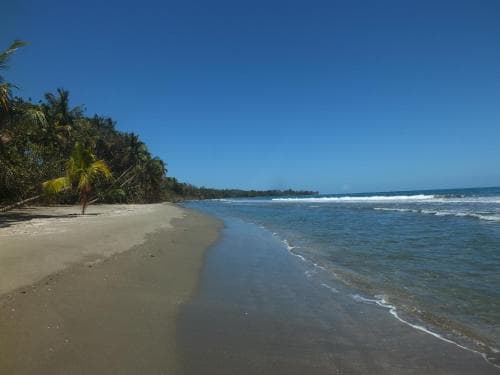 Cabinas Caribe Luna