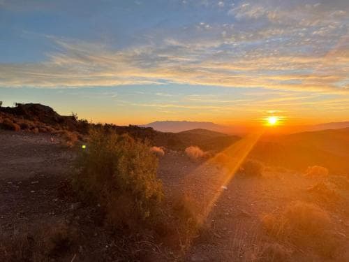Sage Desert Dreams