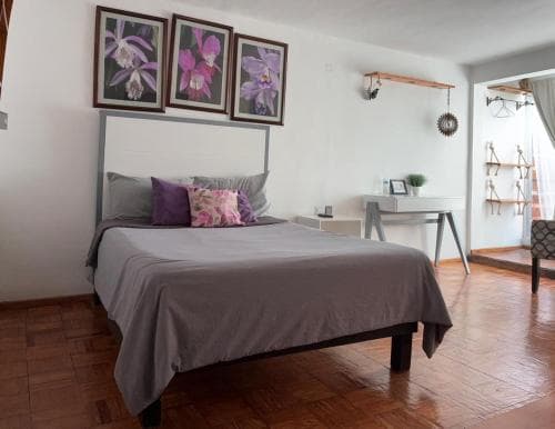 Suites Aldama