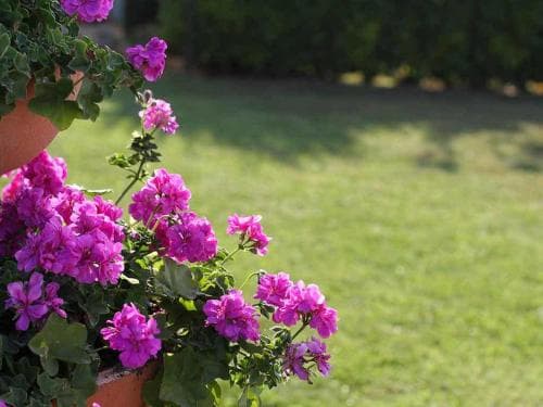 Bed & Breakfast Da Rosa