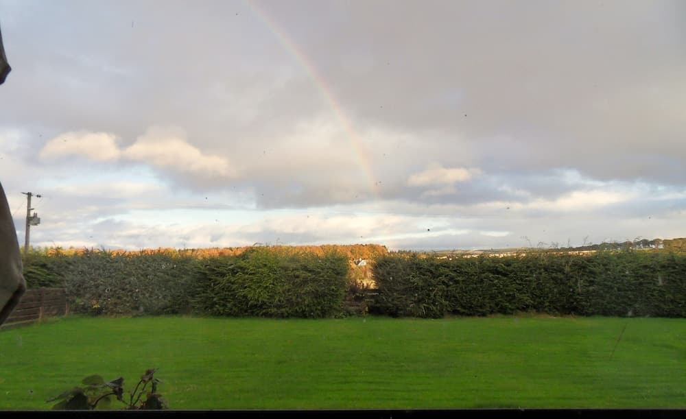 A serene rural landscape features a vibrant rainbow arching over lush green fields bordered by dense hedges, ideal for tranquil countryside retreats.