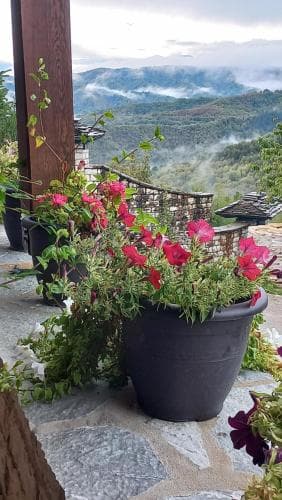Guesthouse Selini