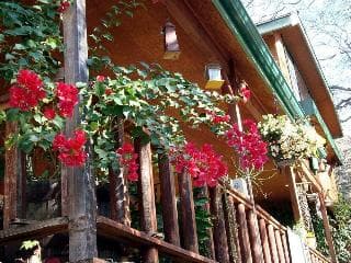 Bellevue Guesthouse