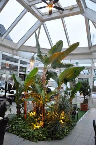 Hotel Café Kampe