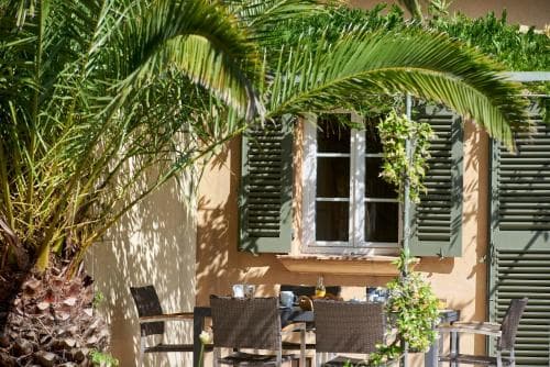 A serene outdoor dining area with lush palm trees and green shutters frames a cozy table set for breakfast, ideal for travelers seeking a tranquil tropical retreat experience.