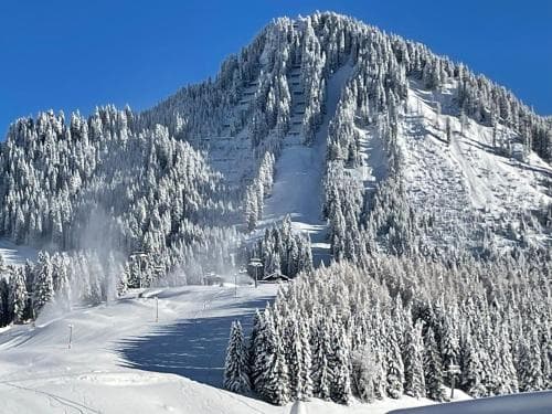 Chalet zur Rose