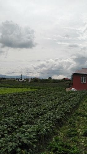 Vulkaan Homestay