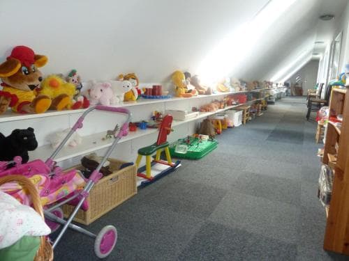A brightly lit indoor play area features shelves lined with colorful stuffed animals and toys, creating a cheerful atmosphere ideal for family-friendly outings and children's activities.
