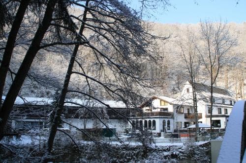 Hotel Wiedfriede