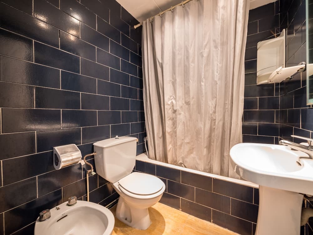 Apartments Borodin
