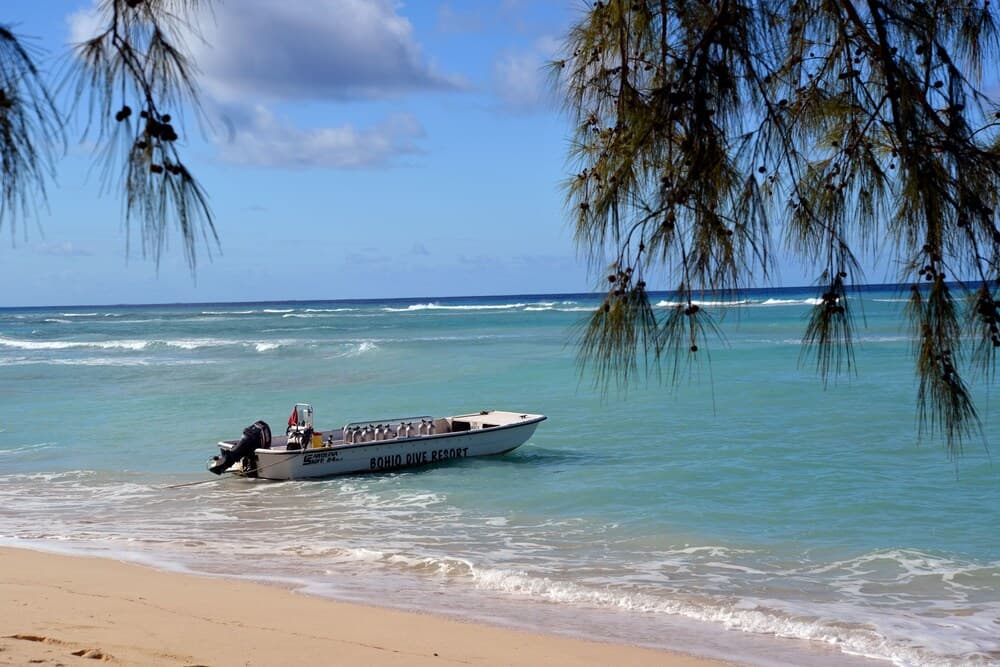 Bohio Dive Resort
