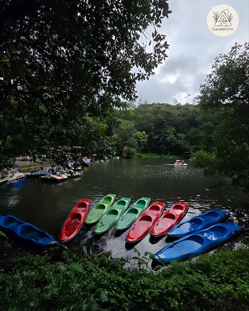 Dandeli Inn Resort