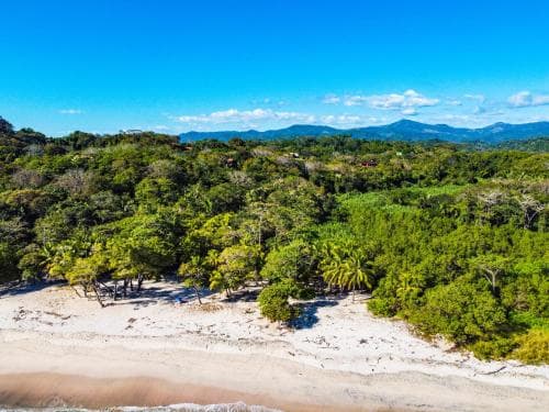 A serene tropical beach bordered by lush greenery under a clear blue sky offers an idyllic retreat for nature lovers seeking relaxation and adventure.