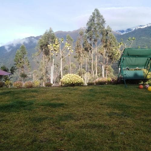 Vista Alegre