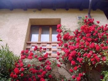B&B Strada del Collalto