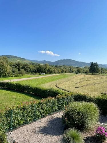 Ferienwohnung Reblandblick