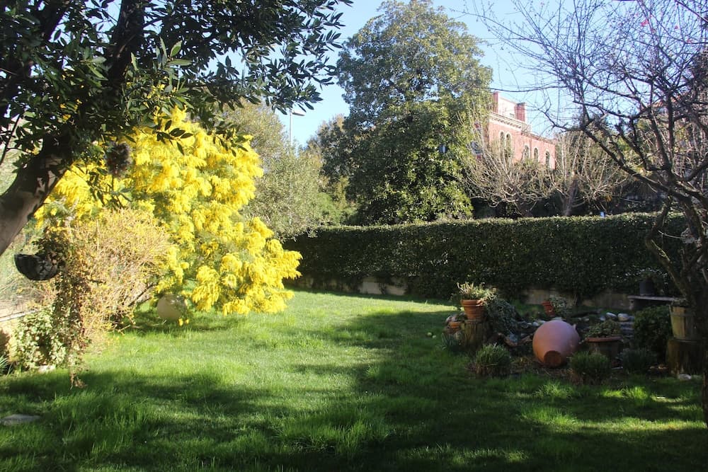 A serene garden with vibrant yellow blossoms, lush greenery, and terracotta pots creates a peaceful retreat, ideal for travelers seeking relaxation in a natural setting.